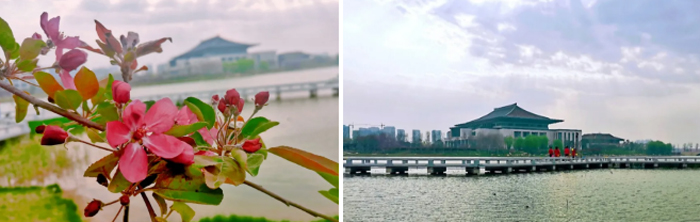 不负春光不负韶华